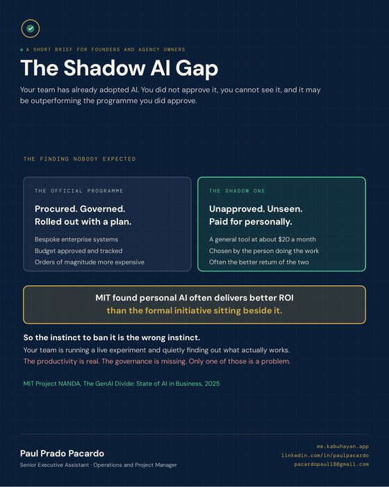Cover of The Shadow AI Gap